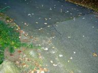 Upper-Lower Driveway Seam Before